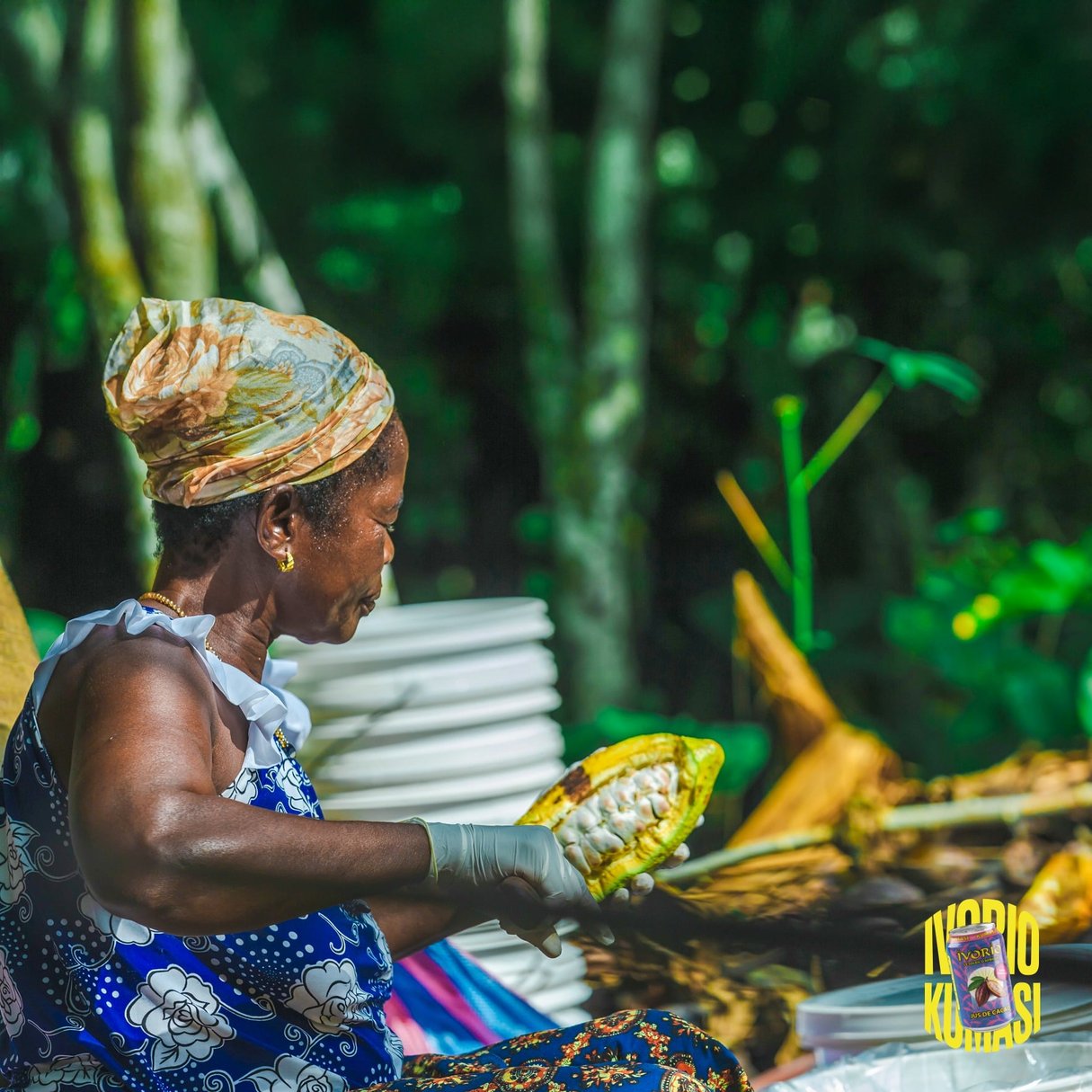 De la plantation au verre - ATOU IVORIO