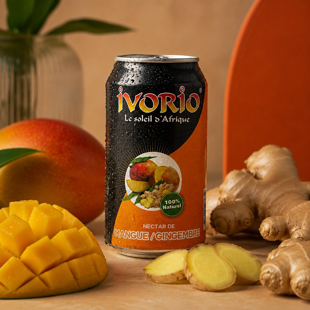 Jus Mangue Gingembre IVORIO